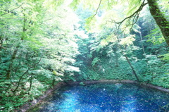 青池～白神山地～