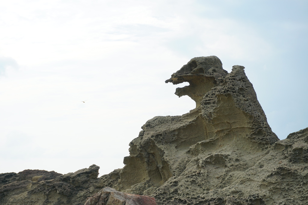ゴジラ！男鹿半島に居座る！！