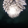 雨上がりの夜空に咲いた華⑨