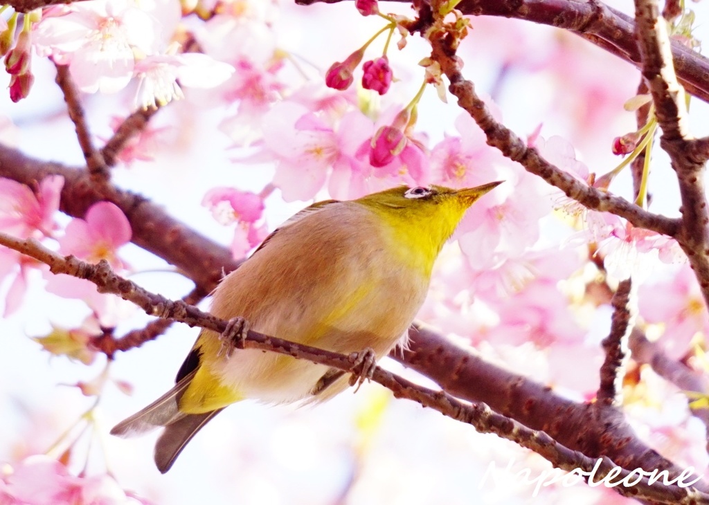 どれにしようかな♡