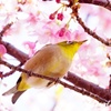 どれにしようかな♡
