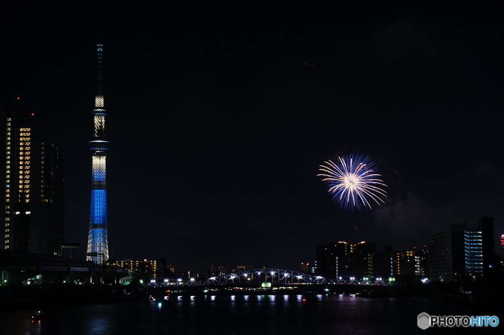 夜空に咲いた朝顔　