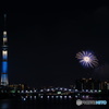 夜空に咲いた朝顔　