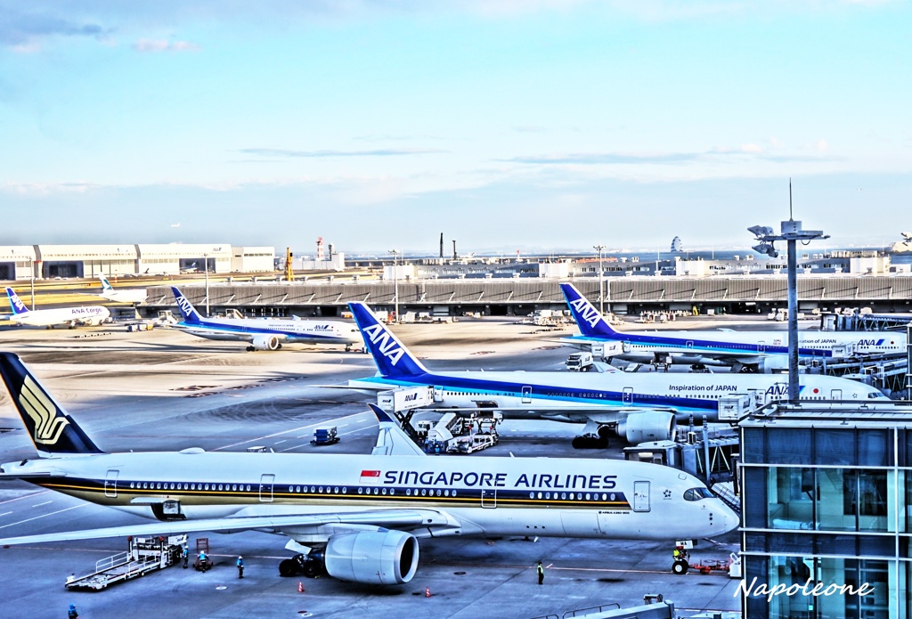 International terminal~ANA~