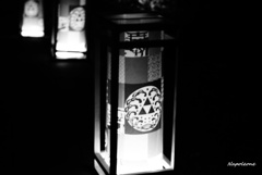 モノクロの夜