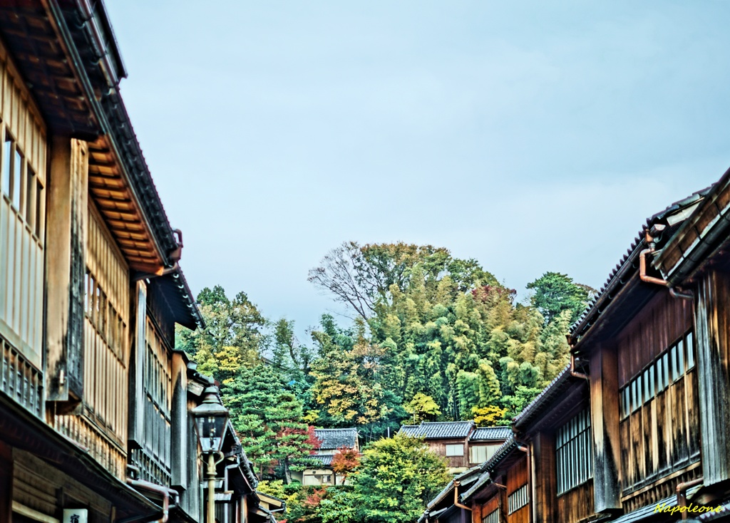 東茶屋街と紅葉