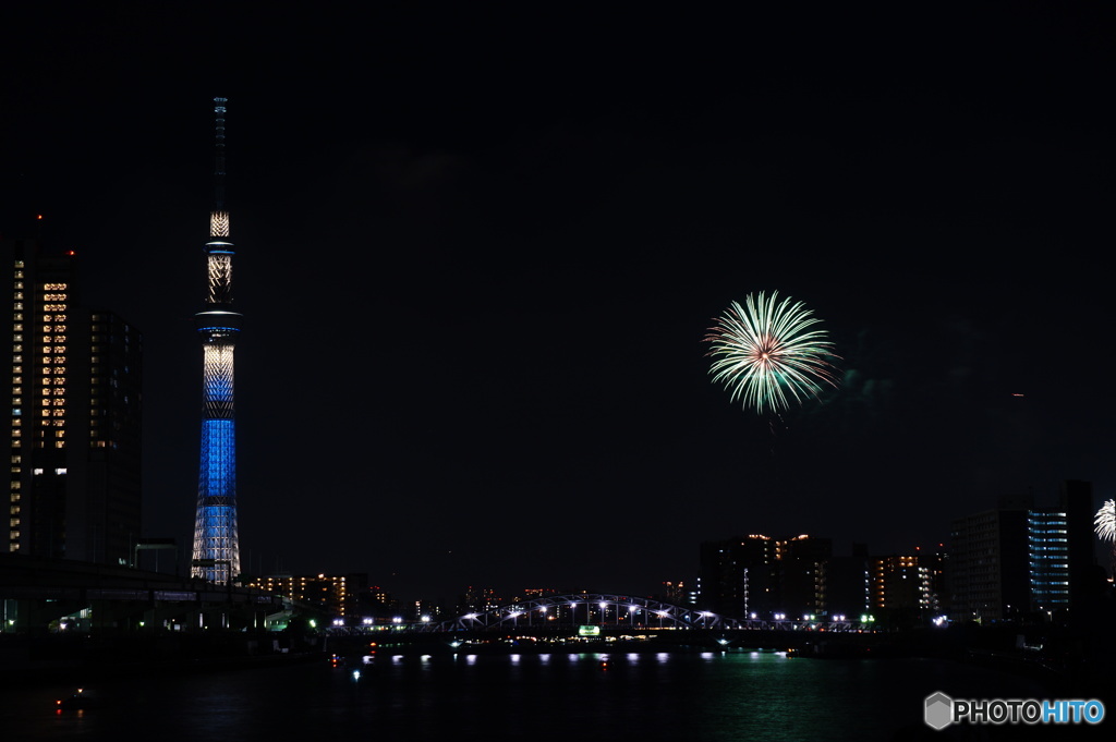 夜空に咲いた菊