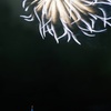 雨上がりの夜空に咲いた華⑦
