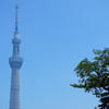 スカイツリー
