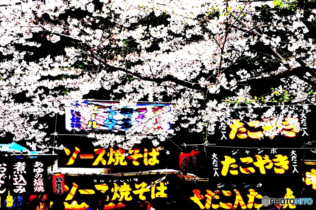 桜祭り