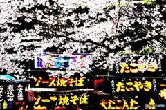 桜祭り