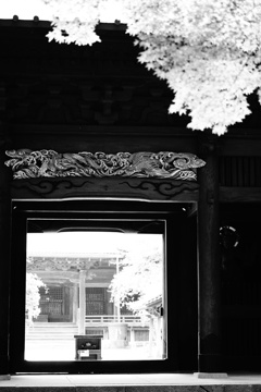 妙本寺の正門