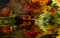 鏡面世界　～庭園～