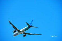 青空に映える飛行機