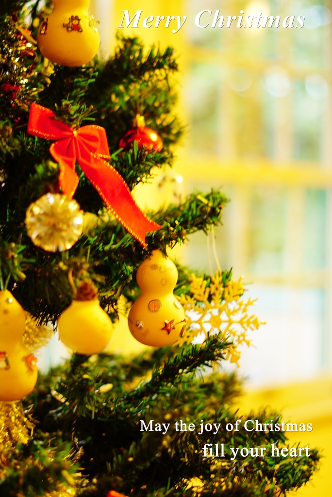 メリークリスマス☆
