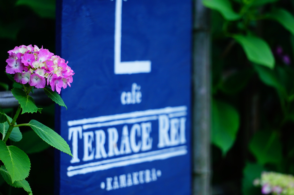 Ｃａｆｅに寄り添う