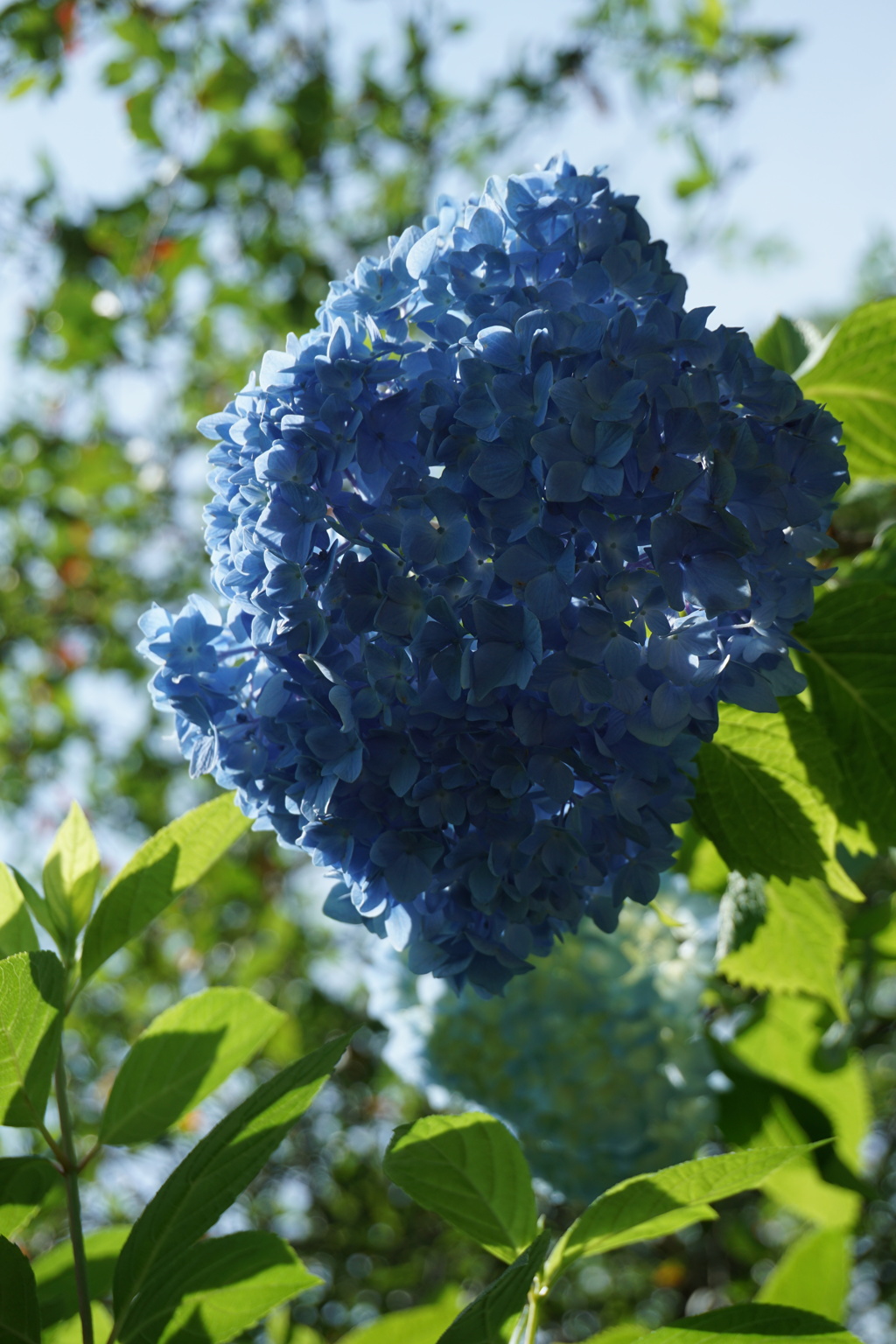 覗いてみました