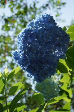 覗いてみました