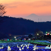 ドイツ村より富士山