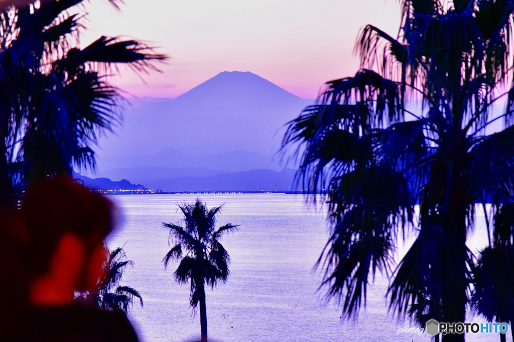 富士山を眺める友＊