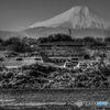 富士山の日