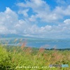 富士山雲の中>_<