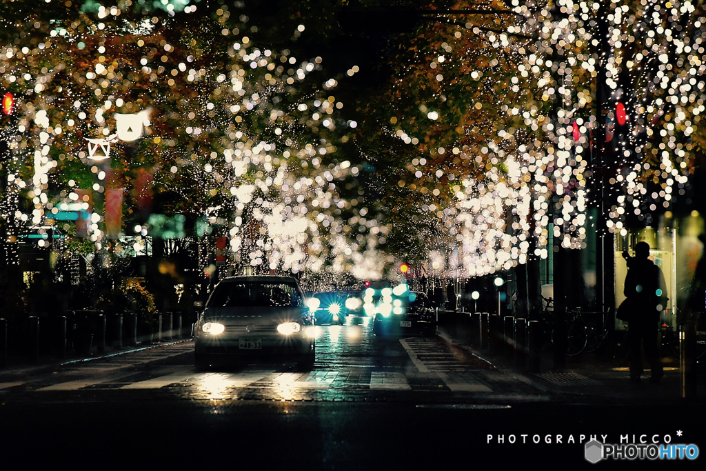 illuminationの中を…