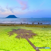 夏の海と 椰子の木の影