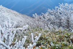 初冬の禿岳