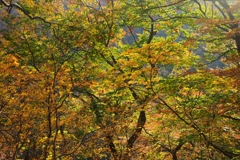 神室連峰の紅葉4