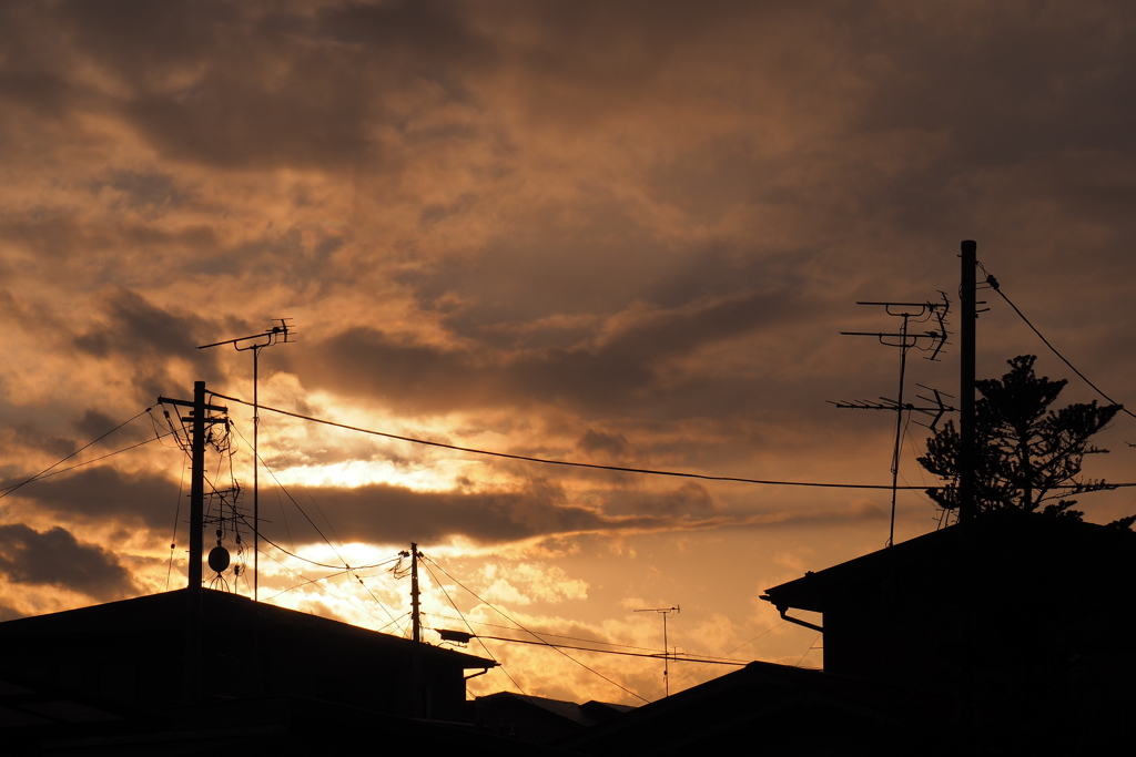 本日の夕景