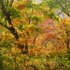 神室連峰の紅葉2