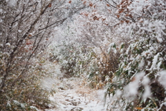 里山雪景2