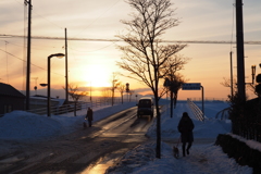 冬の散歩道1