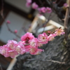大阪天満宮⑥