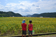 僕たちの夏休み