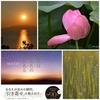 お友達の写真に掲載してもらいました