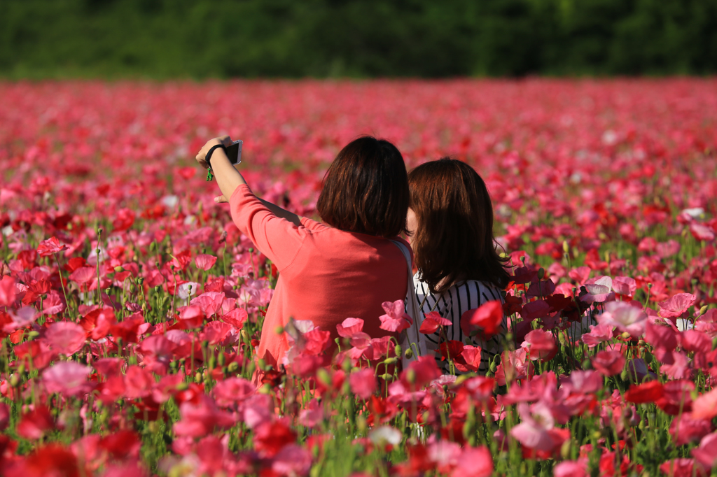 花に囲まれて