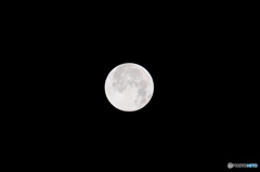 ８月1日 501