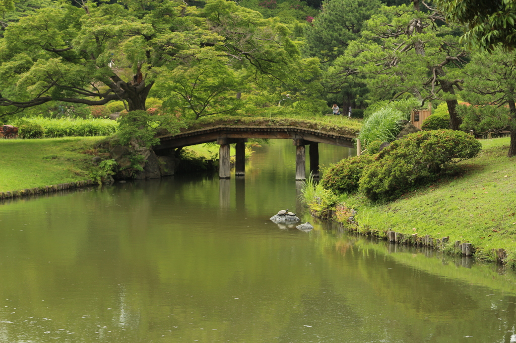 橋