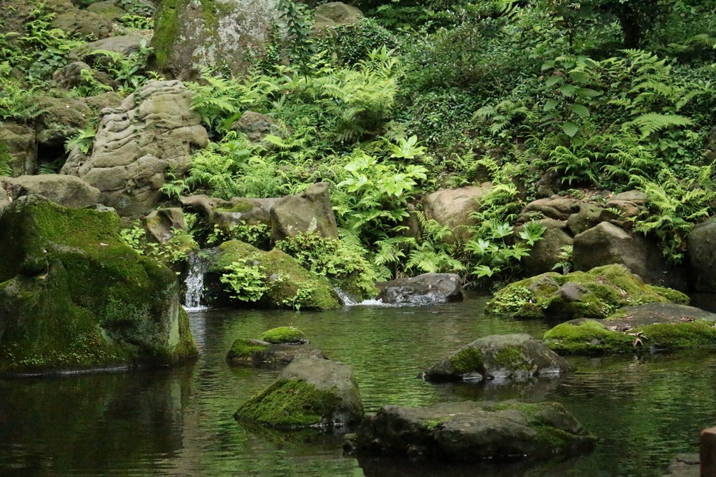 庭池