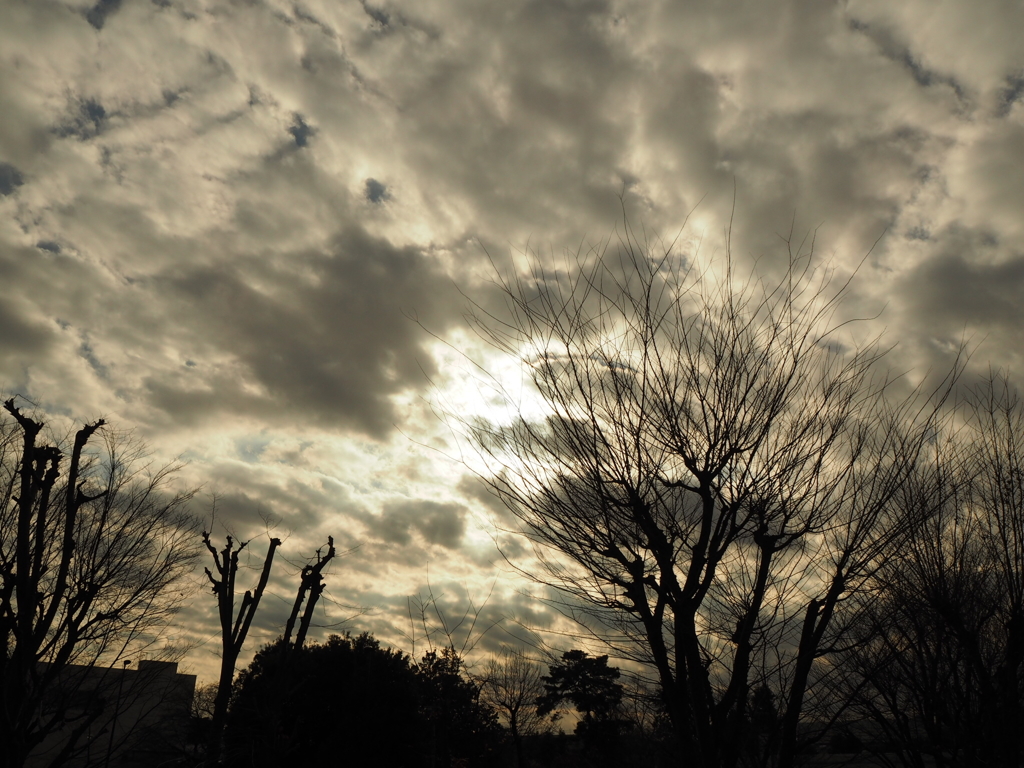 KUMO