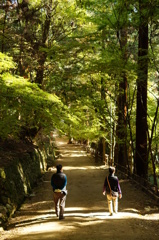 距離感