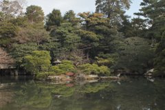 京都御所 庭園