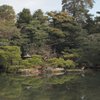 京都御所 庭園