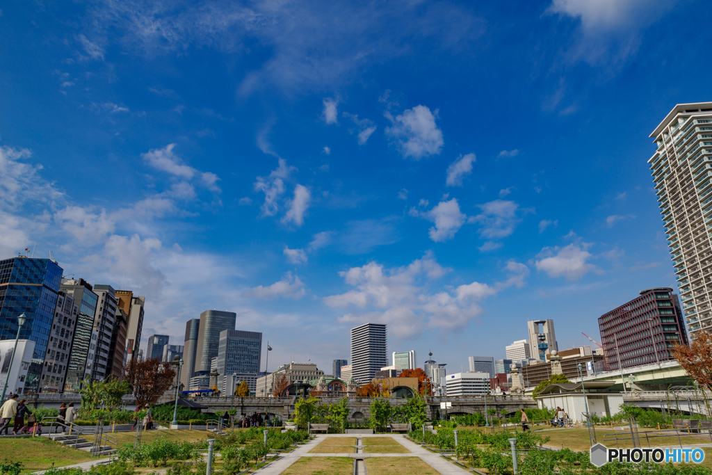 秋散歩2016（大阪　中之島）