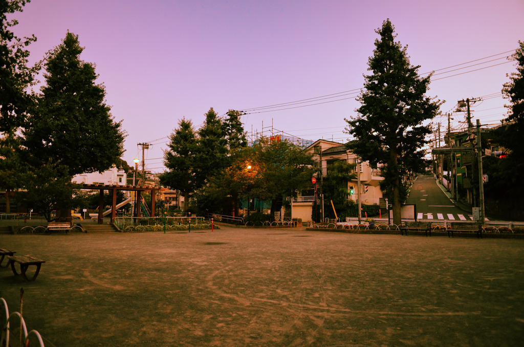 お盆・夕暮れの公園