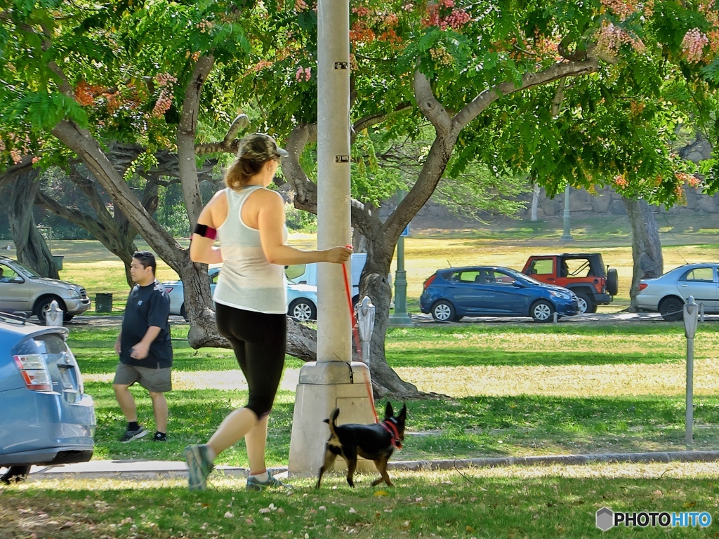 愛犬とランニング