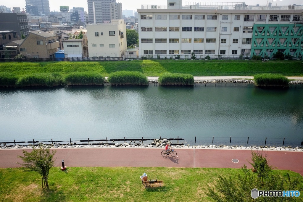 旧中川の夏