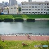 旧中川の夏